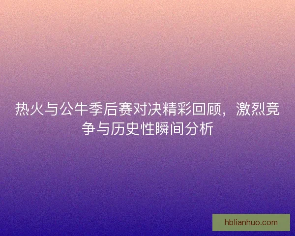 热火与公牛季后赛对决精彩回顾，激烈竞争与历史性瞬间分析